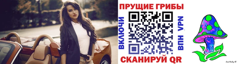 Галлюциногенные грибы Cubensis  Родники 