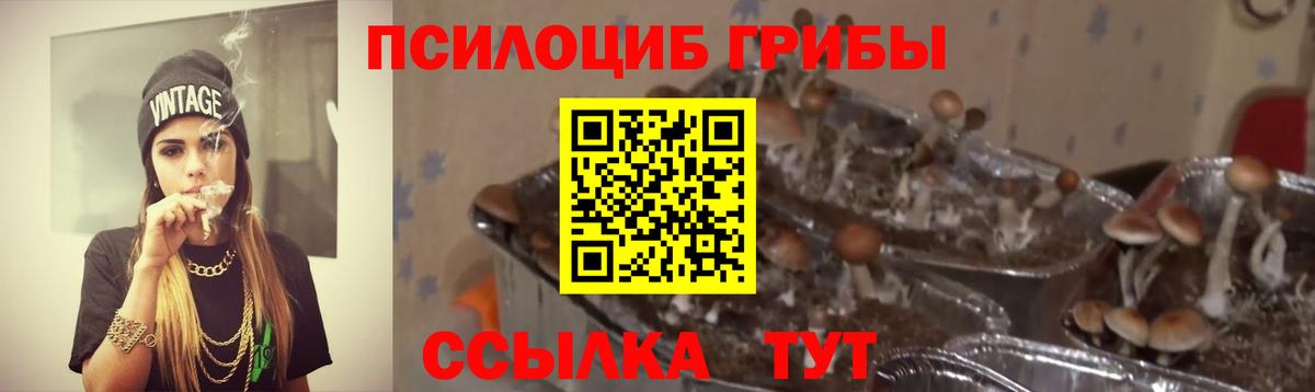 Родники  Псилоцибиновые грибы MAGIC MUSHROOMS  Вход с VPN  Псилоцибиновые грибы Psilocybine cubensis 